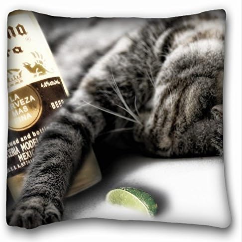 Decorative Square Throw Pillow Case Animals cat bottle s down funny beer 18"*18" Two Side