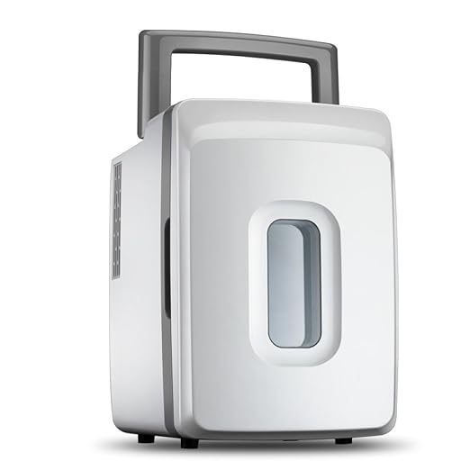 ZSEFV Mini Nevera 12L Refrigerador Portátil para El Interior ...