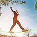 Blissun Slackline Kit with Training Line, Tree Protectors, Ratchet Cover, Arm Trainer and Carry Bag, 57ft Easy Set up Slack Lines for Kids, Adults, Boys, Girls