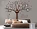 Grant Family Tree Wall Decal with Family Like Branches on a Tree Wall Decal Sticker Quote Living Room Decor(83