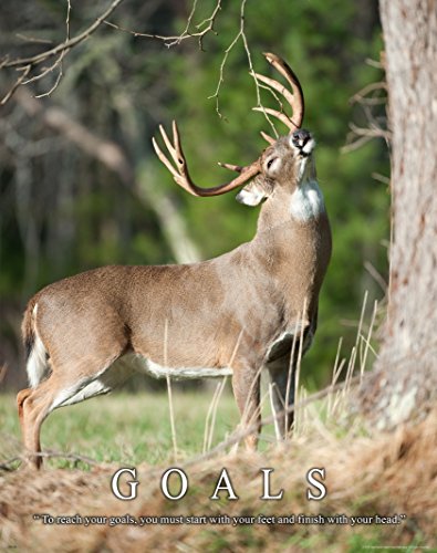 Whitetail Deer Motivational Poster Art Print 11x14 Bow Hunting Buck Commander Wall Decor Pictures