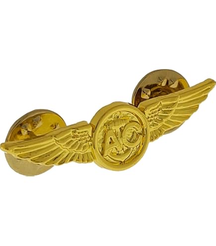 Amazon.com: Israeli army IDF SENIOR PARATROOPER WINGS BADGE Israel