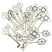 Mixed Set of 30 Vintage Old Look Skeleton Keys Fancy Heart Bow Necklace Pendants (Silver)