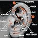 BodyJ4You 8PC Ball Closure Piercing Ring BCR 14G Steel Ear Lobe Tragus Daith Nose Septum Lip Nipple