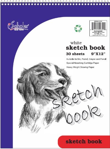 iScholar Sketch Book, Top Wirebound, 30 Sheets, 9 x 12-Inches, White (43030)