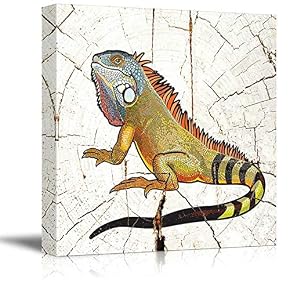 Square Abstract Colorful Iguanaon Vintage Wood Effect Background