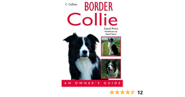 carol price border collie