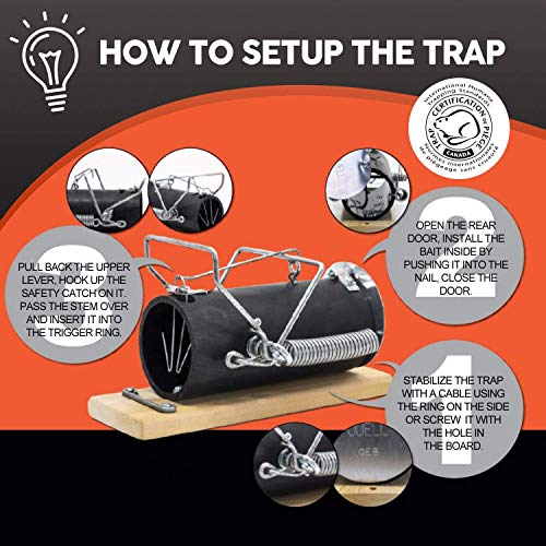 Squirrel Traps Outdoor Squirrel Traps Ouell Traps Trap for Squirrels (Small) Pricepulse