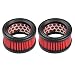Hipa (Pack of 2 13031038331 Air Filter for Echo CS440 CS4400 CS450 CS450P CS510 CS520 CS530 Chainsaw