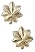 Marlow White MAJ Rank Insignia, US Army Officer