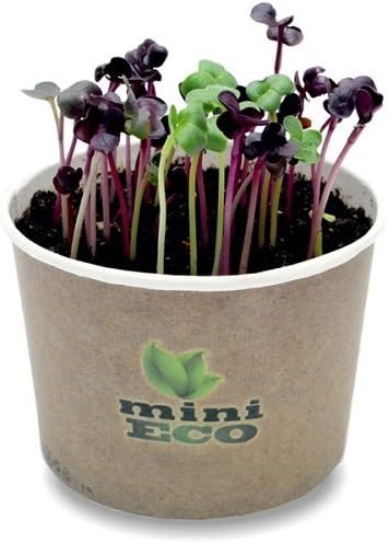 MiniEco Microgreens Growing Kit For Radish Rambo Seeds. Your HEALTHY LIFE can start now!