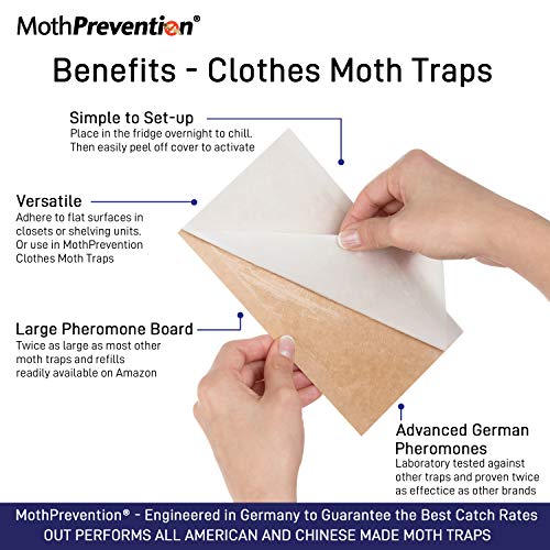 POWERFUL CLOTHES MOTH TRAPS 6-Pack | Odor-Free & Natural from MothPrevention | Best Catch-Rate Cloth - //coolthings.us