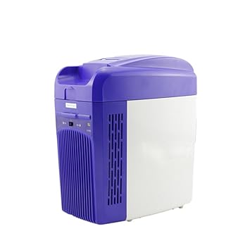 L&Z Mini Nevera Para Coche Y Salida Energy Class A ++ 5L Truck ...