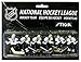 Stiga Tampa Bay Lightning Table Rod Hockey Players