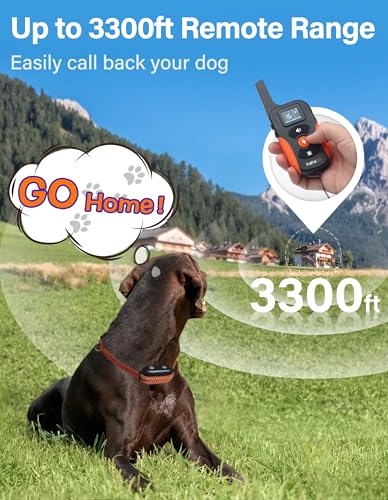 PaiPaitek 2-in-1 Dog Bark Collar & Shock Collar with Remote 3300ft, 4 Modes(Vibration/Beep/Shock/Anti-Bark), IPX7 Waterproof Training Collar for Medium Large Dogs (40-150 lbs) for Indoor & Outdoor Use