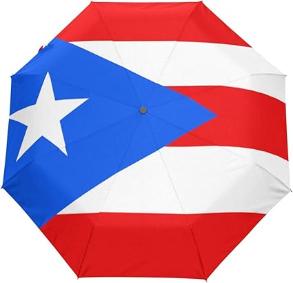 Amazon Com Chinein Compact Travel Umbrella W Windproof Auto Open