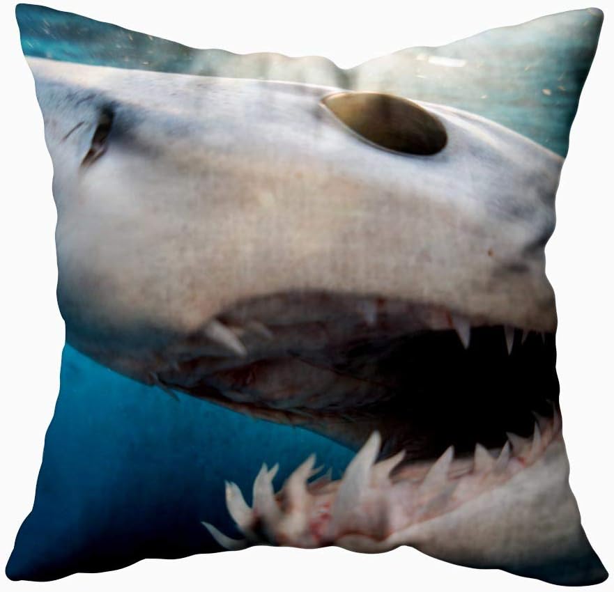 Shorping 20X20 Pillow Case, Christmas Pillow Covers Fall Throw Pillow Covers Red Throw Pillow Covers Shark Diving in The Sea of with Coast Cabo San Mexico a Mako Lucas Snow Pillow Covers for Home