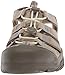 KEEN Women's Newport H2-W Sandal, Plaza Taupe/Provincial Blue, 8.5 M US