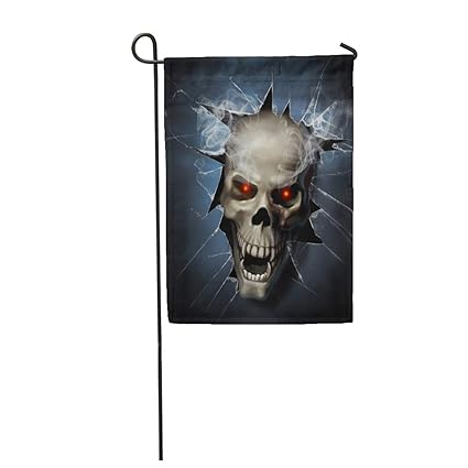 Amazon Com Tarolo Decoration Flag Scary Skull Through The Glass