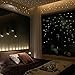 Elaco Glow in The Dark Star Wall Stickers 407Pcs Round Dot Luminous Kids Room Decor (A)