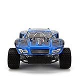 Rabing RC Car, High Speed 20km/h 1:18 4WD Electric Power Truck 2.4GHz Radio Remote Control Off Road Vehicle, Blue