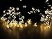 Esky Solar Powered Outdoor LED String Light, 55ft 17m 100 LED Solar Fairy String Lights for Patio, Garden, Christmas, Party, Wedding (Warm)