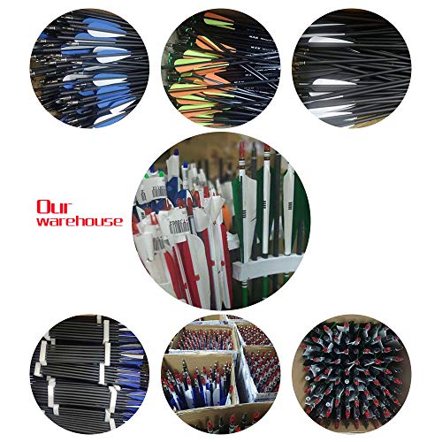 image for SMARTTREE Archery Carbon Arrows SP500 28'' 12Pcs Outdoor Target Huntin