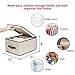 STORAGE MANIAC Polyester Canvas Storage Box, Foldable Storage Bins with Lid Shelf Baskets for Closet(Large)