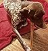 Supreme 12-inch Thick Bully Sticks by Sancho and Lola’s (5 Pack) All-Natural, Long-Lasting Dog Chew Treats - Free-Range, Grass-Fed Beef - Low Odor