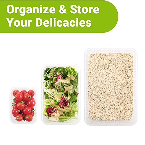 COZZINE Food Storage Containers, Airtight Leak Proof Lock Durable Plastic Microwaveable Bento Box Dishwasher and Freezer Food-Safe, BPA Free (Purple, 3-Piece)