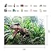 MEETS 7x5ft Jurassic Park Backdrop Dinosaur Green Plant Photography Background Themed Party Photo Booth YouTube Backdrop GEMT886 ...