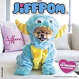 Jiffpom (Jiff the Pomeranian) 2020 Wall Calendar (Dog Breed Calendar) by 