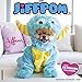 Jiffpom (Jiff the Pomeranian) 2020 Wall Calendar (Dog Breed Calendar) by 