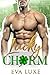 Lucky Charm: A St. Patrick's Day Irish Billionaire Fake Fiance Romance
