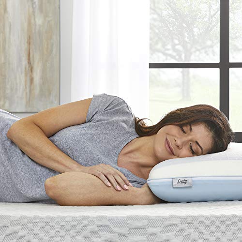 Sealy DuoChill Cooling Memory Foam Pillow, Standard (Pack of 1), White