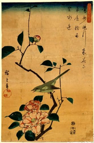 1840 Japanese Print bird on a tree branch with camellia blossom. Tsubaki ni uguisu. TITLE TRANSLATION: Camellia and Bush Warbler.