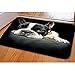 INSTANTARTS Black Boston Terrier Printed Soft Flannel Mats for Bedroom Bathroom Home Decoration