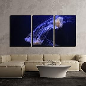 3 Piece Canvas Wall Art - Jellyfish Under Deep Ocean - Modern Home Art Stretched and Framed Ready to Hang - 16"x24"x3 Panels