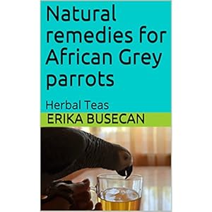 Natural remedies for African Grey parrots: Herbal Teas