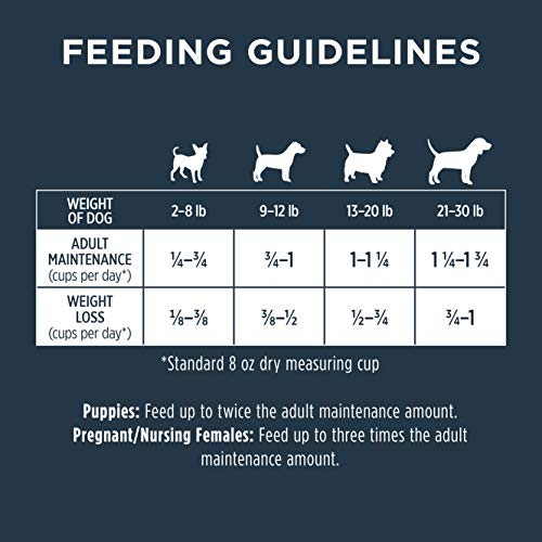 Instinct Raw Boost Small Breed Grain Free Recipe with Real Beef Natural Dry Dog Food, 10 lb. Bag