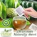 Soursop Tea 30 Bags | 100% Natural Organic Tea Bags | Immunity Boosting Soursop Tea Bags | Fight Inflammation With Soursop Leaves | Herbal Life Tea From Guanabana Leaves | Graviola \ Soursop Fruit Tea