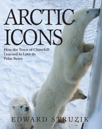 Arctic Icons: How the Town of Churchill Learned to Love its Polar Bears (Best Way To Ship From Canada To Us)