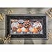 Evergreen Flag Sassafras Elegant Patterned Pumpkins Interchangeable Entrance Doormat | Indoor and Outdoor | 22-inches x 10-inches | Non-Slip Backing | All-Season | Low Profile | Home Decor