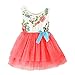 2Bunnies Little Girls Baby Girls Infants Sleeveless Floral Princess Dress Tulle Tutu Sundress