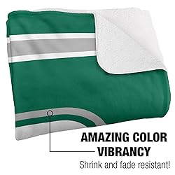 Binghamton University Bearcats Primary Logo Stripes