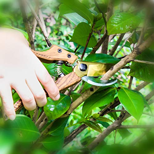Oara SK-5 Steel Hand Pruners for Garden, Garden pruners Shears, Pruning Shears Garden, Garden Shears Clippers for Plants, Clippers for Garden Work