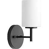 Progress Lighting Replay Collection 1 Light Bathroom Vanity Light, Modern Bath Lighting Fixture with Etched White Glass Shade