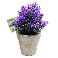 OFFIDIX Mini Artificial Lavender Flowers Potted Plant Desktop Plant Fake Plants with Gray Pot for Home Office Cafe Desktop Decoration (Purple)