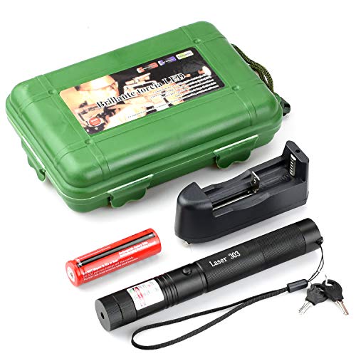 Green Laser Pointer Tactical Hunting Rifle Scope Sight Laser Pen, Demo Remote Pen Pointer Projector Travel Outdoor Flashlight, LED Interactive Baton Funny Laser Toy