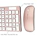 Keyboard & Mouse Combos, URCO Ergonomic Low-noise Aesthetically Pleasing Portable 2.4GHz Wireless Keyboard and Mouse Set for Gaming and Working (Rose Gold)